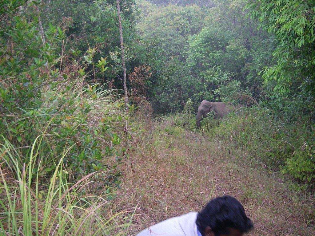 imgp1679