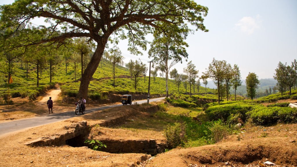 india20100304113536