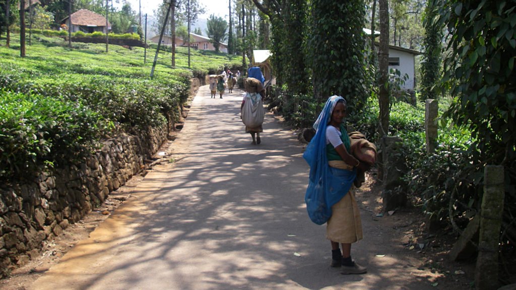 india20100304114104